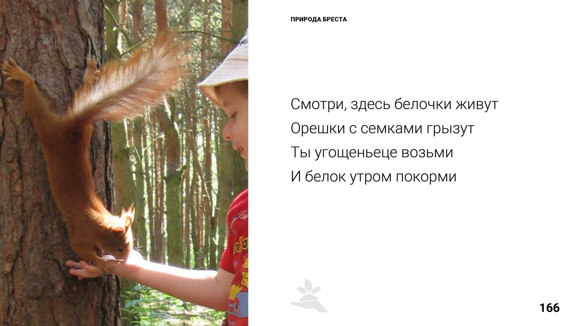 Брест 1000 лет