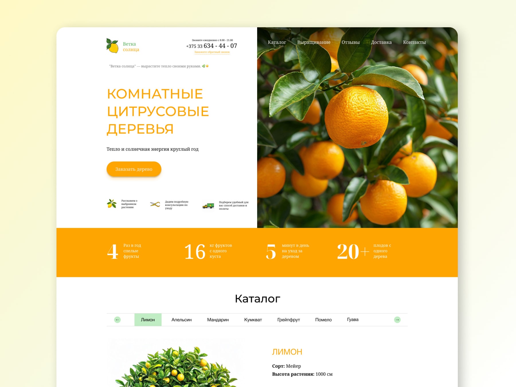 Новый кейс: быстрые и доступные сайты для вашего бизнеса